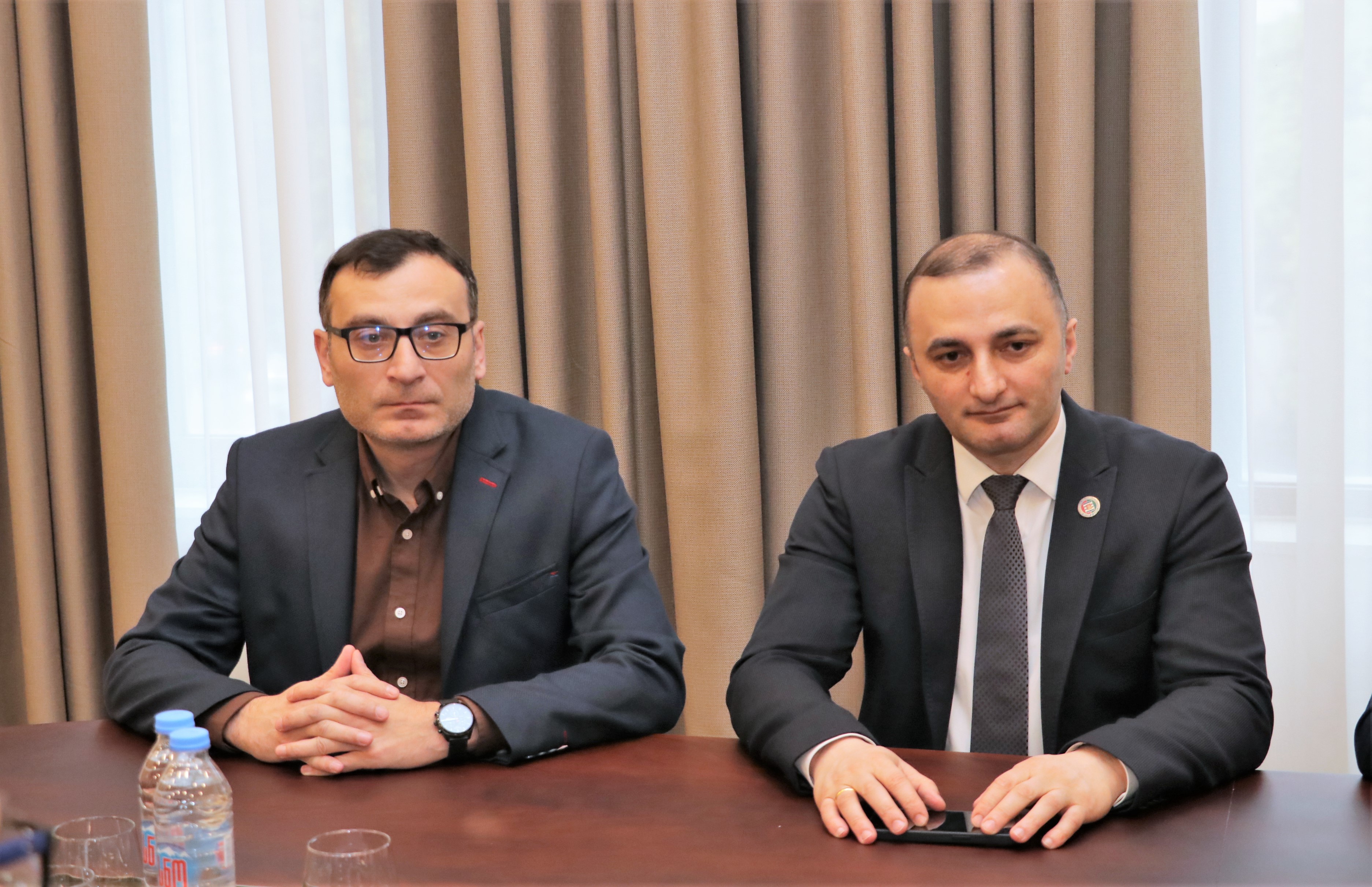 დავით გაბაიძემ პოლონეთის ქვემო სილეზიის სავოევოდოს წარმომადგენლებს უმასპინძლა