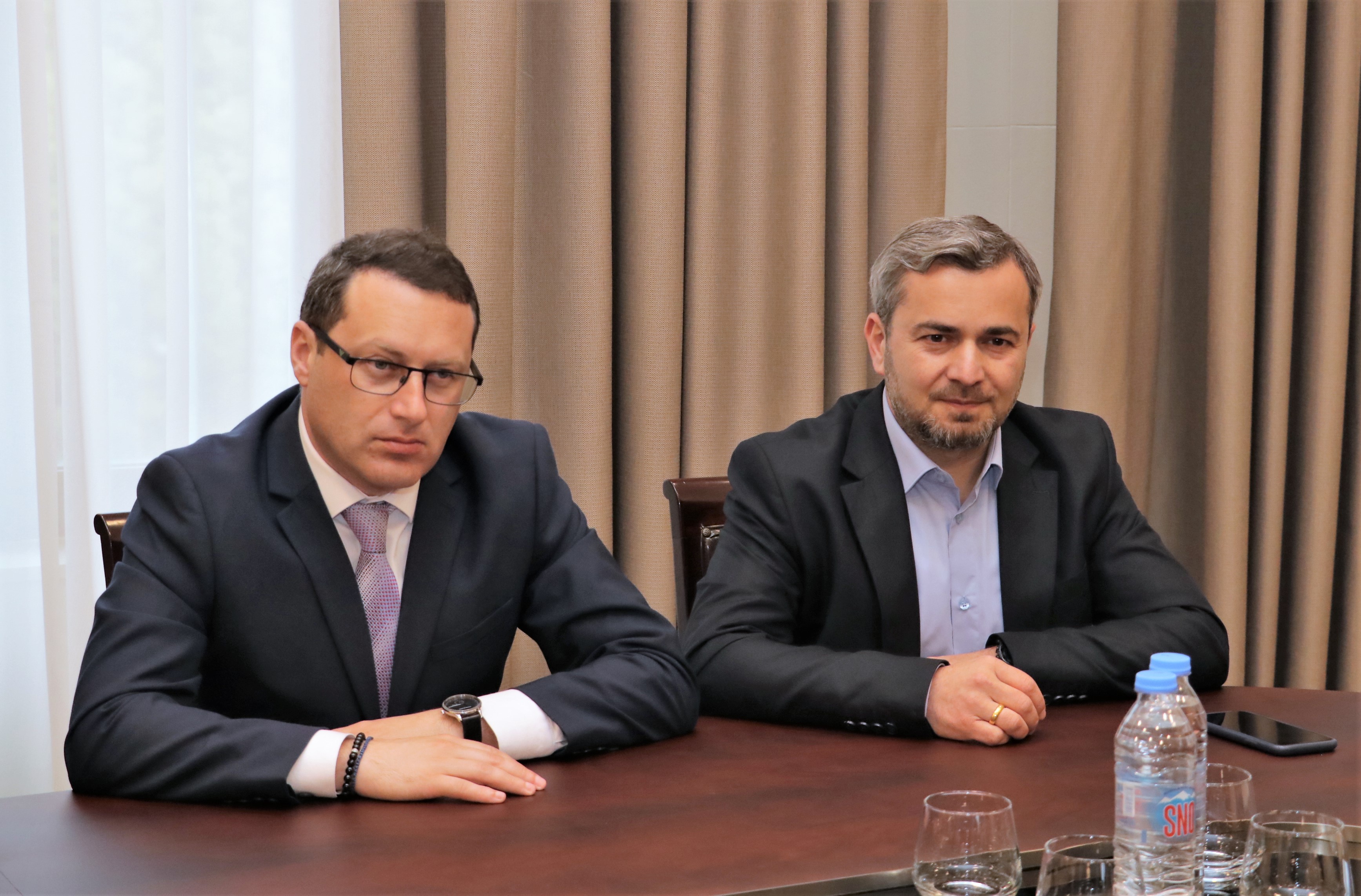 დავით გაბაიძემ პოლონეთის ქვემო სილეზიის სავოევოდოს წარმომადგენლებს უმასპინძლა