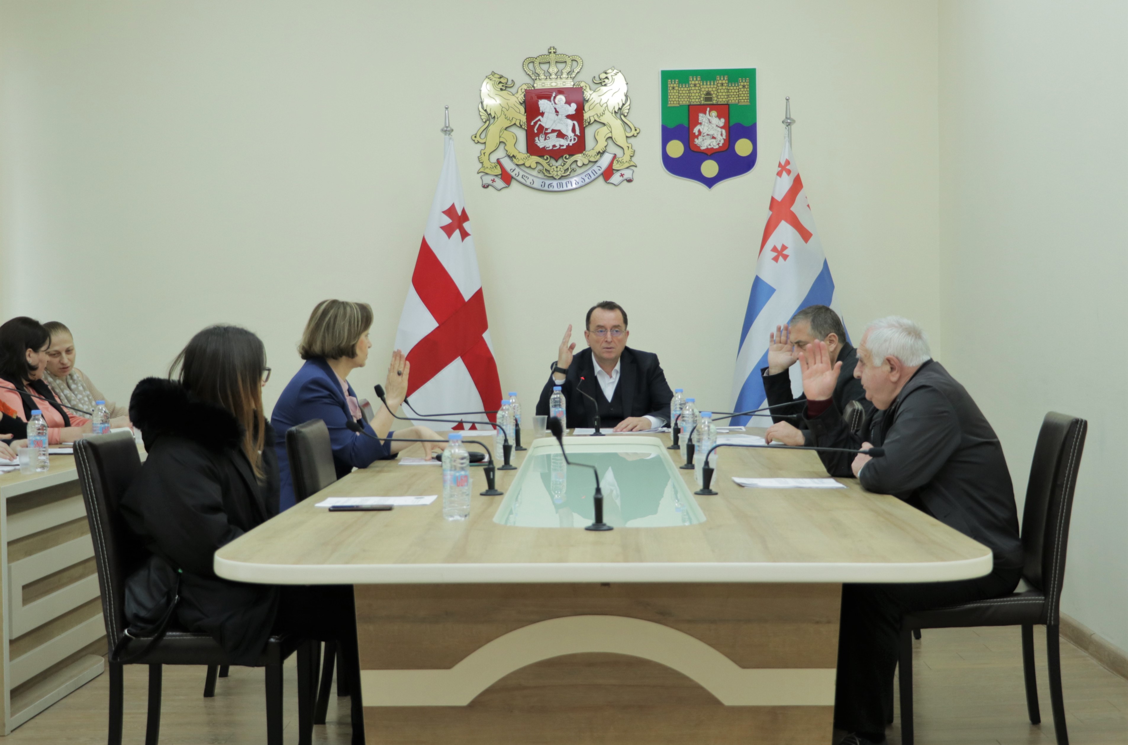 ჯანმრთელობის დაცვისა და სოციალურ საკითხთა კომიტეტის სხდომა