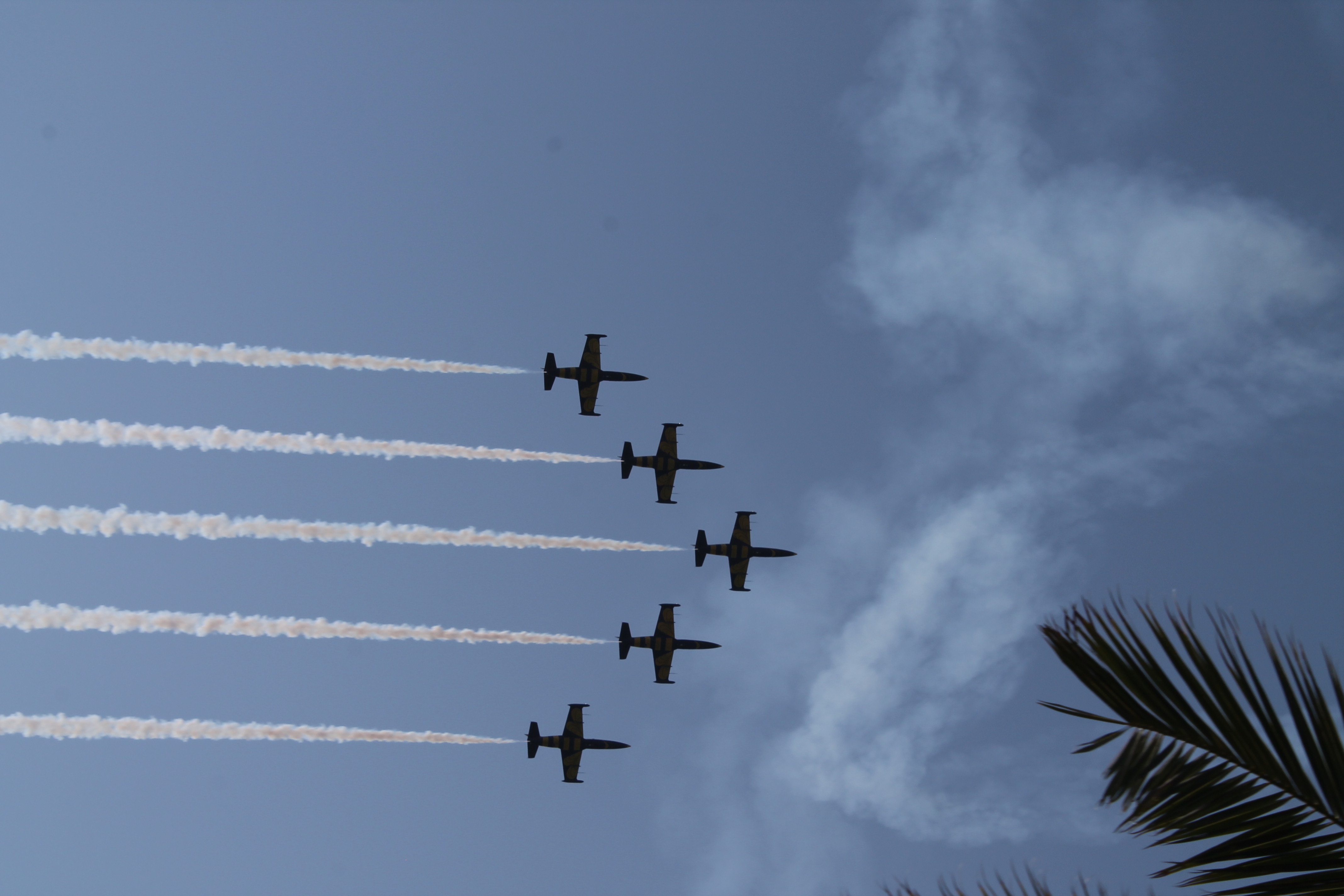 პირველი&nbsp; ავიაშოუ ბათუმში