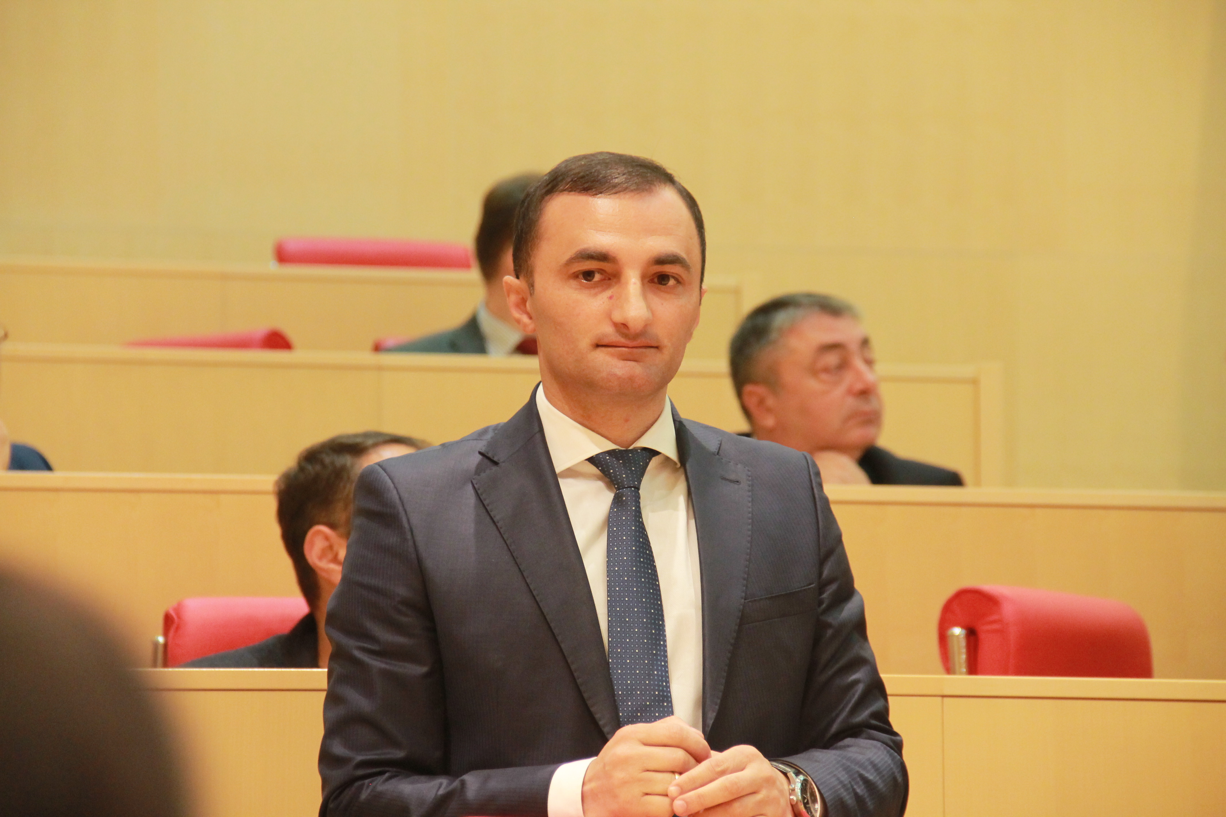 დავით გაბაიძე პარლამენტის სხდომას ესწრება