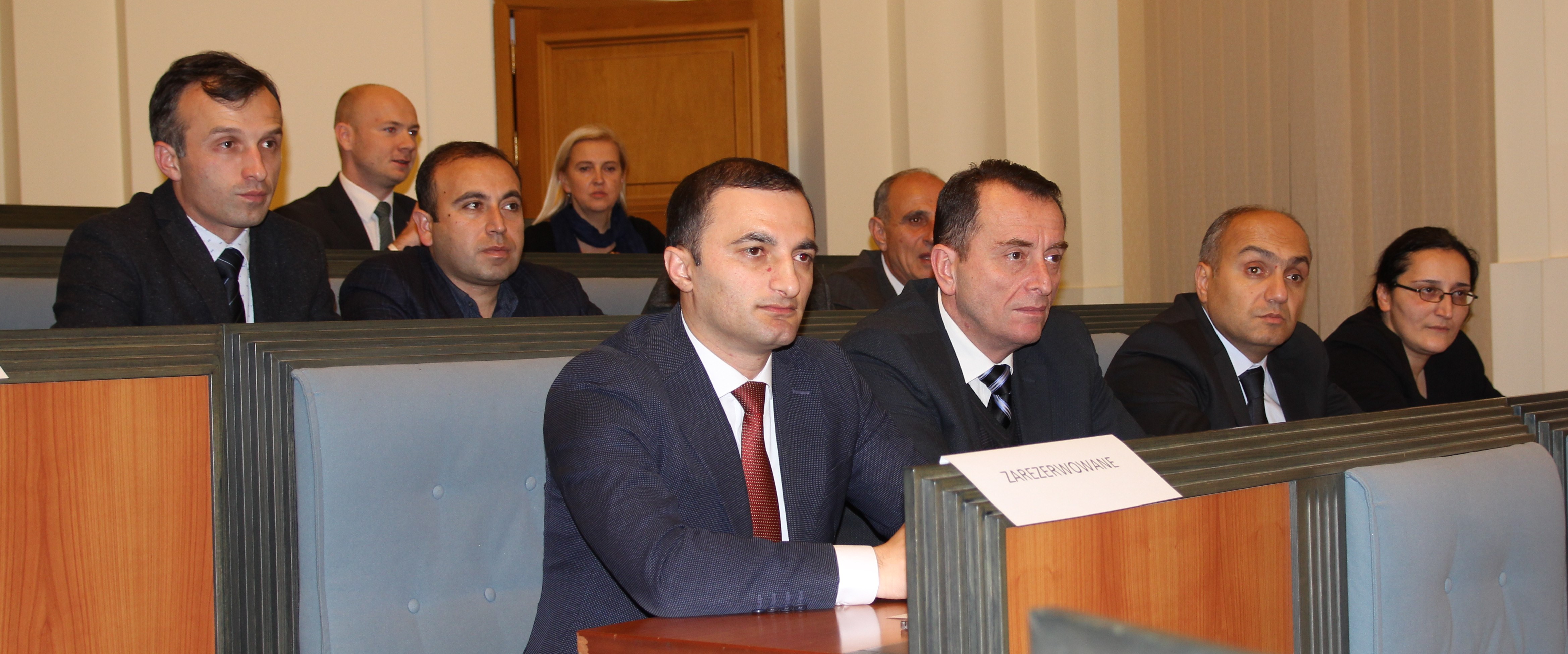 დელეგაციის წევრები სეიმის საგანგებო სესიას დაესწრნენ.