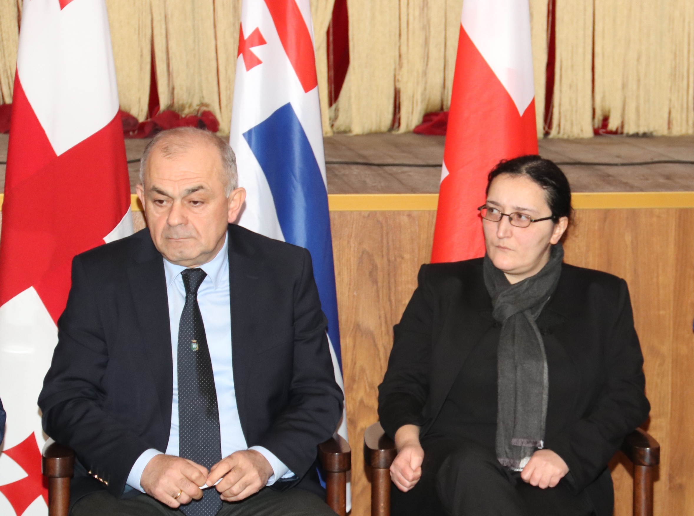 საკონსტიტუციო ცვლილებების მეცხრე საჯარო განხილვა