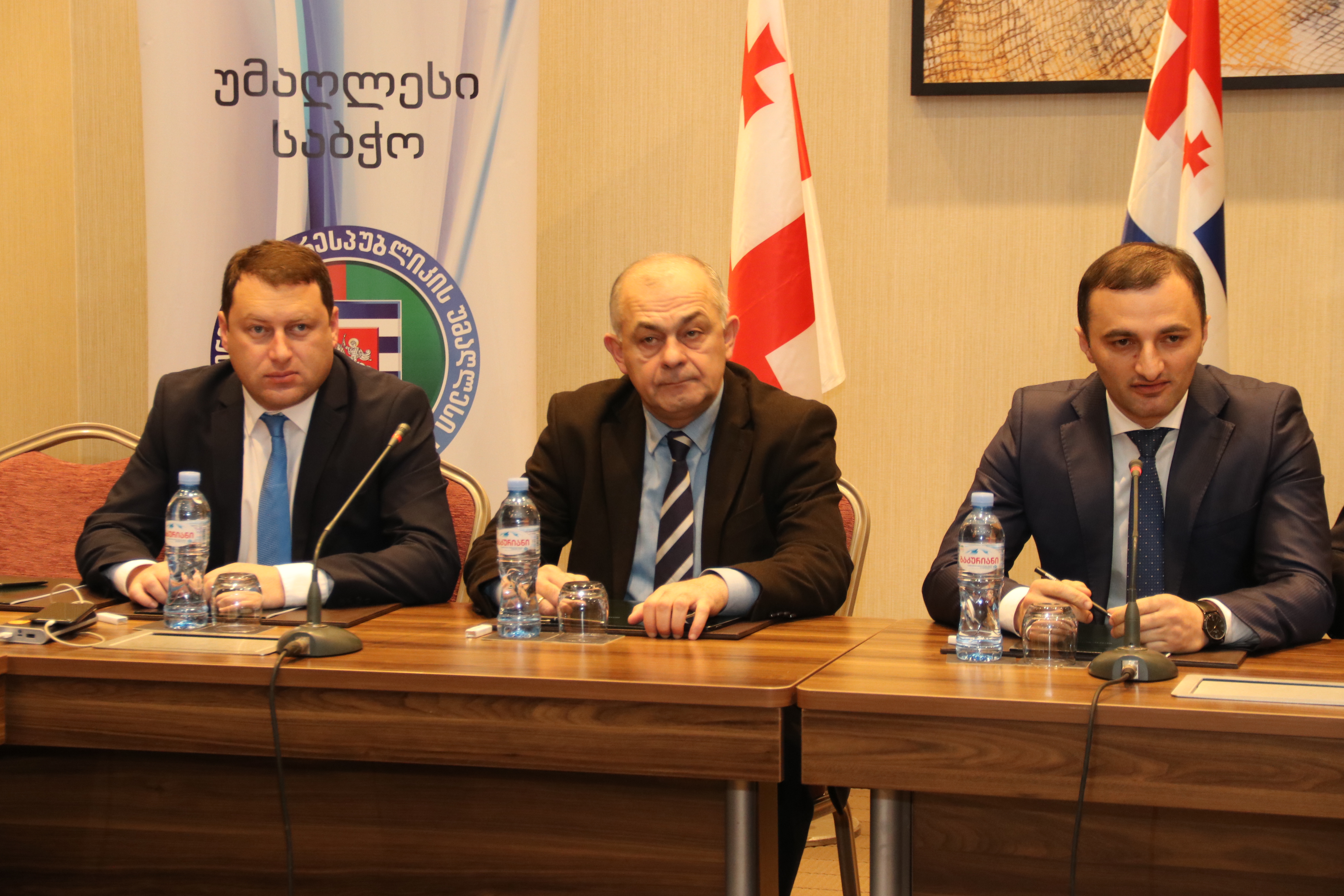 სამუშაო შეხვედრა  საკონსტიტუციო ცვლილებებთან დაკავშირებით