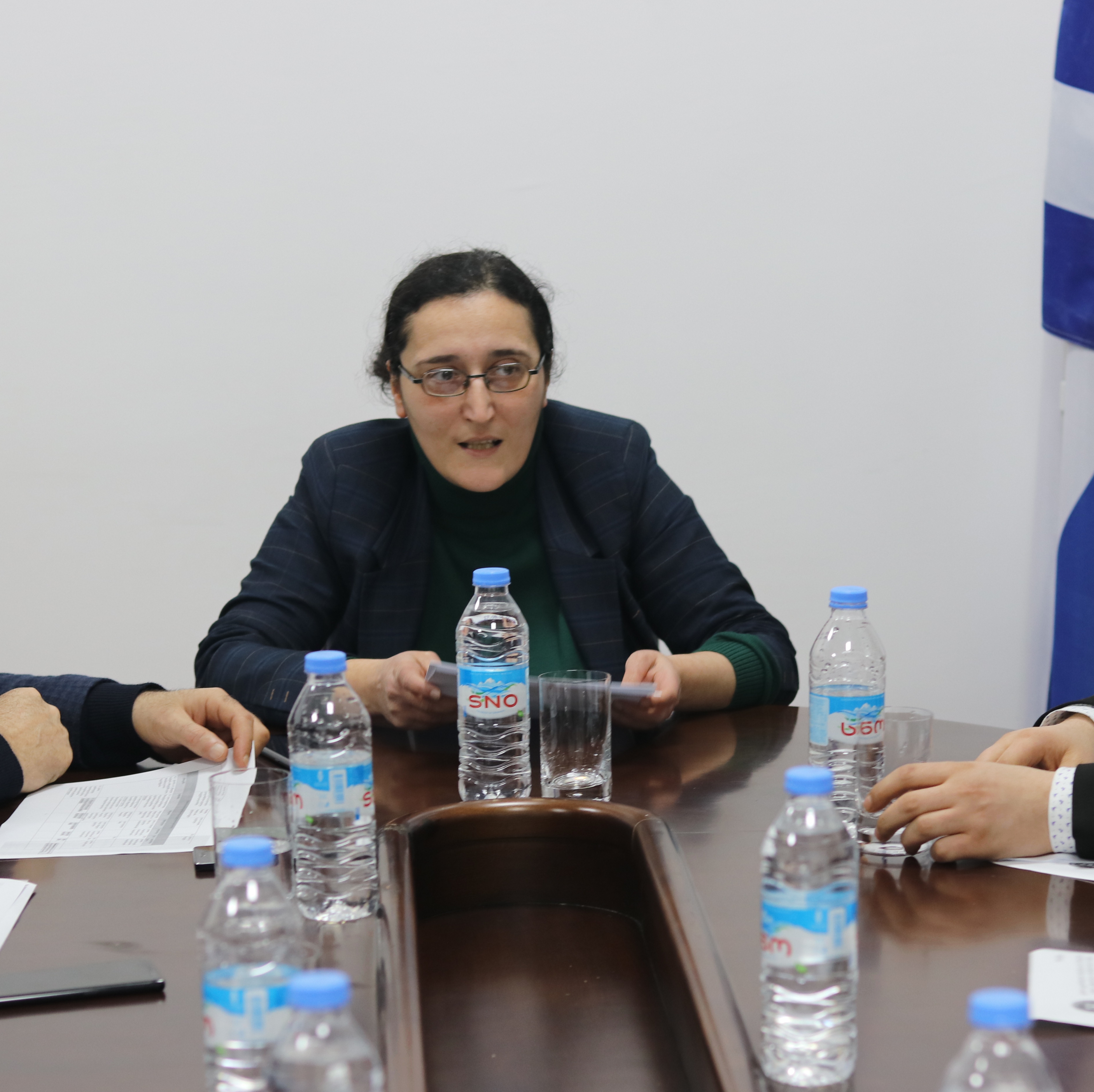 გენდერული თანასწორობის საბჭოს სხდომა