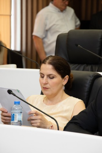 უმაღლეს საბჭოში, „მინისტრის საათის“ ფორმატში ნინო ნიჟარაძეს მოუსმინეს