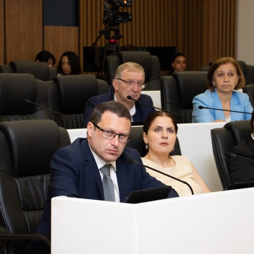 უმაღლეს საბჭოში, „მინისტრის საათის“ ფორმატში ნინო ნიჟარაძეს მოუსმინეს