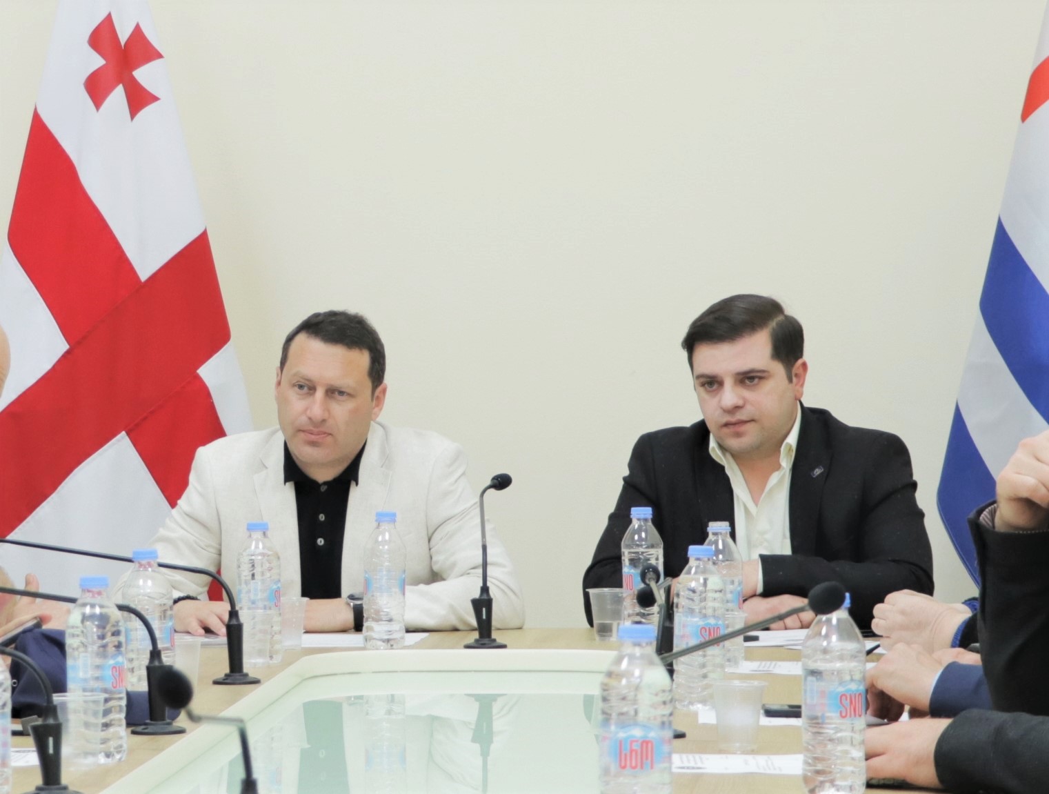 საკონსტიტუციო, იურიდიულ და საპროცედურო საკითხთა და ადამიანის უფლებათა დაცვის საკითხთა კომიტეტების ერთობლივი სხდომა