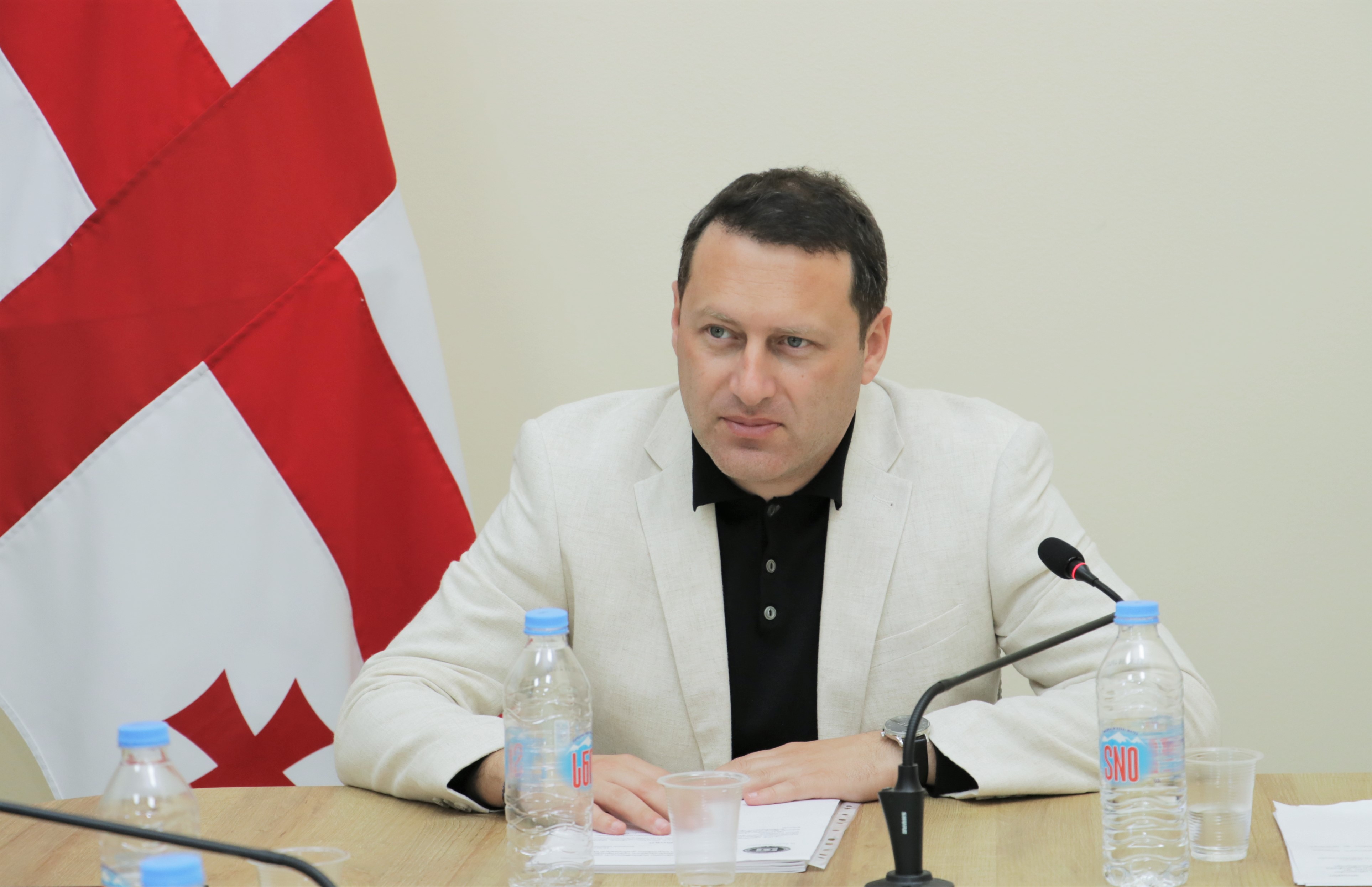 საკონსტიტუციო, იურიდიულ და საპროცედურო საკითხთა კომიტეტის სხდომა