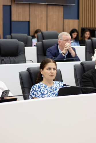 რიგგარეშე პლენარული სხდომა