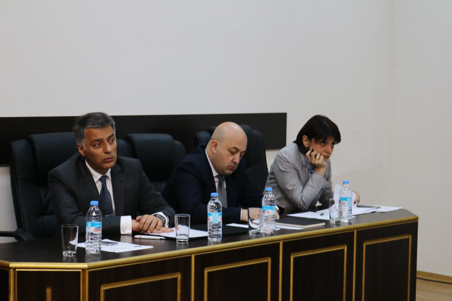    გაერთიანებულ სხდომაზე მინისტრს მოუსმინეს