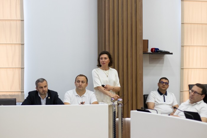 რიგგარეშე პლენარული სხდომა