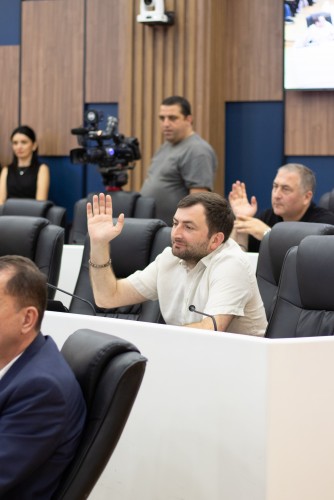 რიგგარეშე პლენარული სხდომა