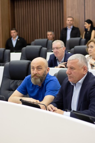 რიგგარეშე პლენარული სხდომა