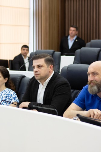 რიგგარეშე პლენარული სხდომა