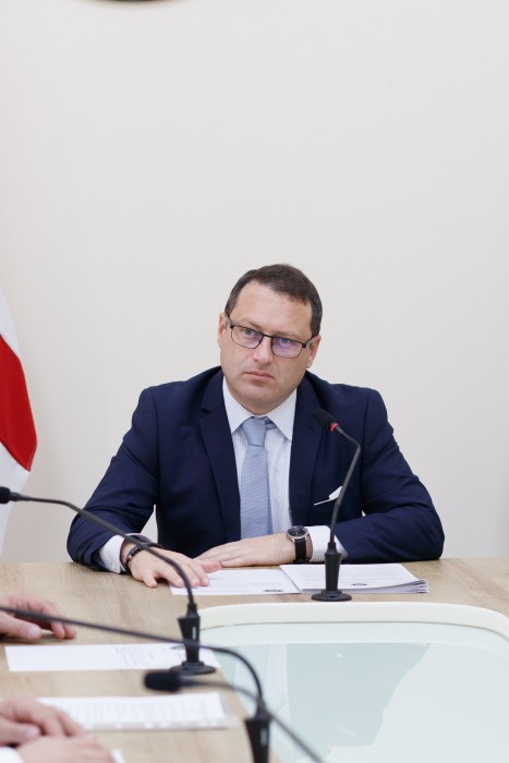 საკონსტიტუციო, იურიდიულ და საპროცედურო საკითხთა კომიტეტის სხდომა