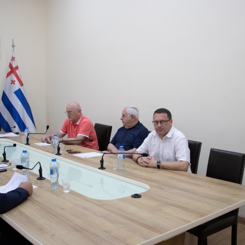 კომიტეტებმა სამინისტროებისა და უწყებების ძირითადი მონაცემებისა და მიმართულებების შესახებ ინფორმაცია მოისმინეს