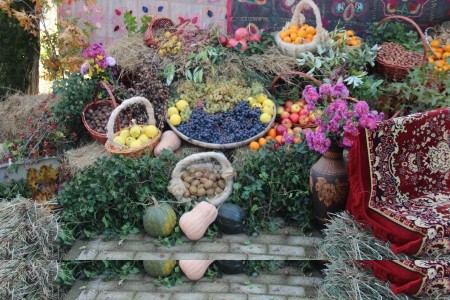 ''შემოდგომა  ქედაში'' - 2017