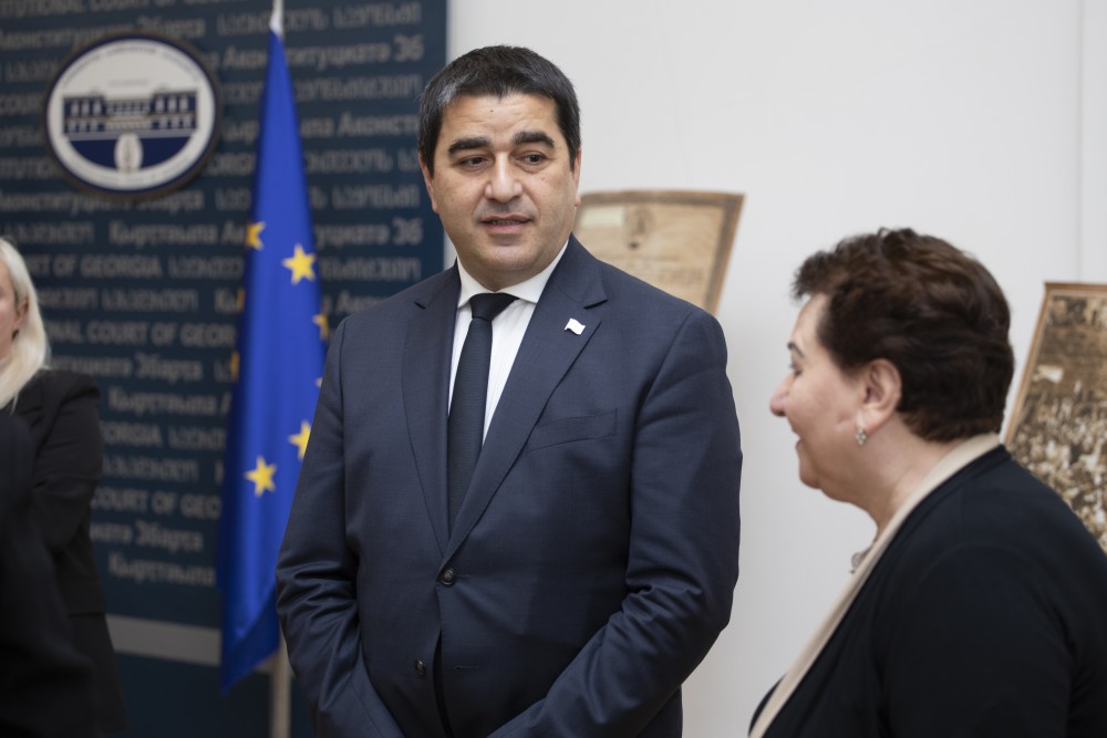 დავით გაბაიძე, საქართველოს საკონსტიტუციო სასამართლოში, ფიცის დადების ცერემონიას დაესწრო