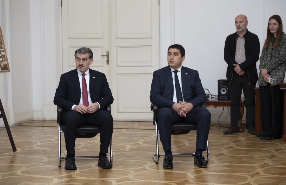 დავით გაბაიძე, საქართველოს საკონსტიტუციო სასამართლოში, ფიცის დადების ცერემონიას დაესწრო