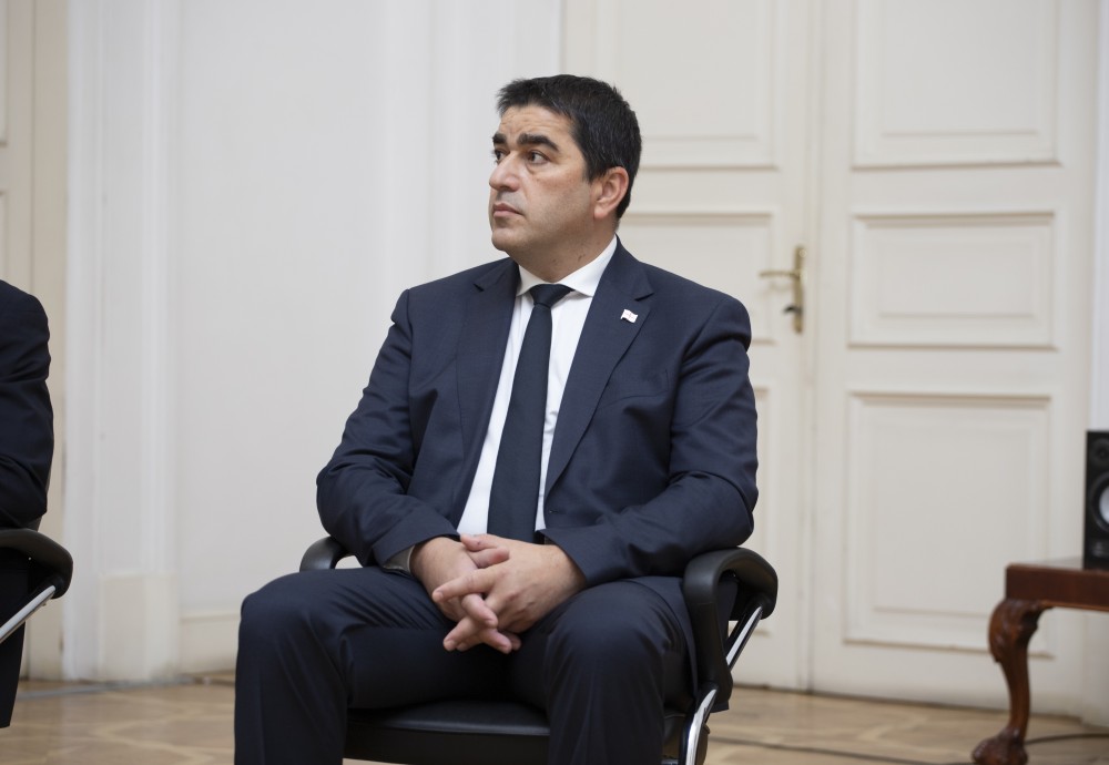 დავით გაბაიძე, საქართველოს საკონსტიტუციო სასამართლოში, ფიცის დადების ცერემონიას დაესწრო