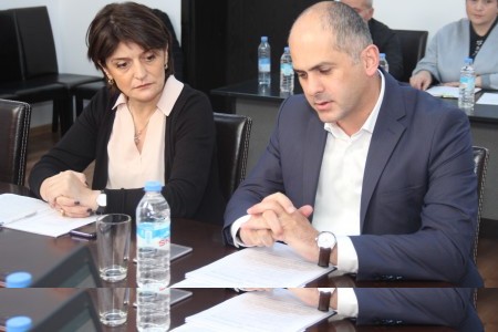 კომისიამ ორი საკითხი განიხილა