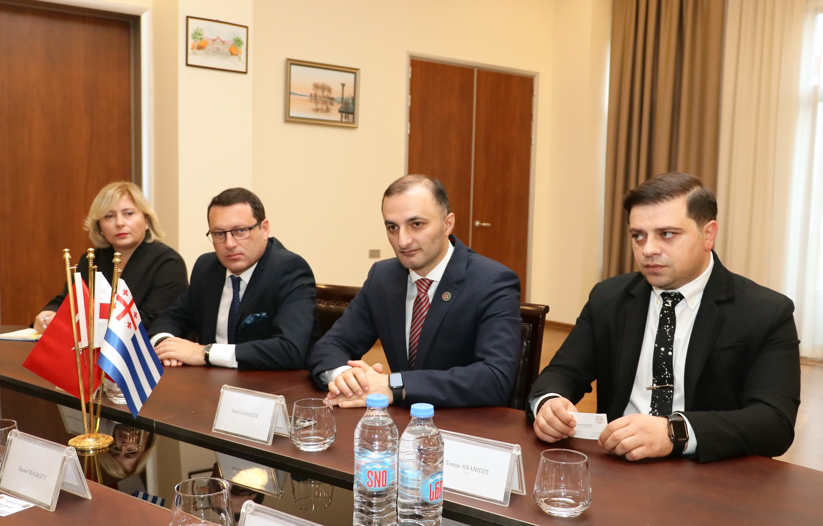 დავით გაბაიძემ თურქეთის რესპუბლიკის მთავარ ომბუდსმენს - შერეფ მალქოჩს უმასპინძლა