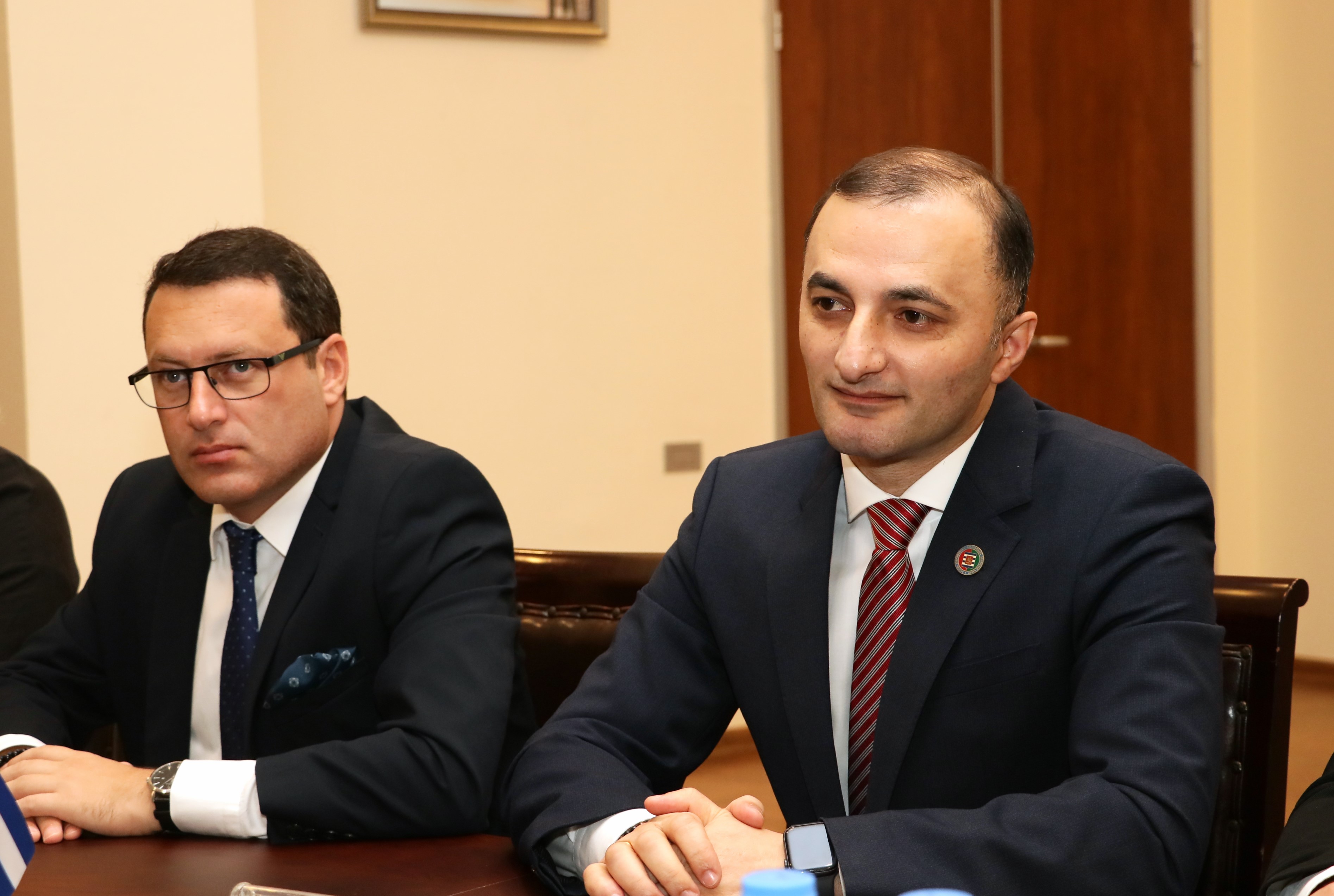 დავით გაბაიძემ თურქეთის რესპუბლიკის მთავარ ომბუდსმენს - შერეფ მალქოჩს უმასპინძლა