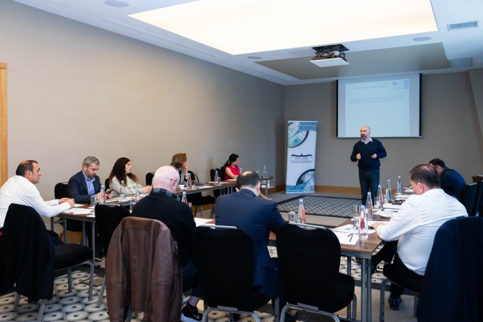 სამუშაო შეხვედრა თემატური მოკვლევის საკითხებზე