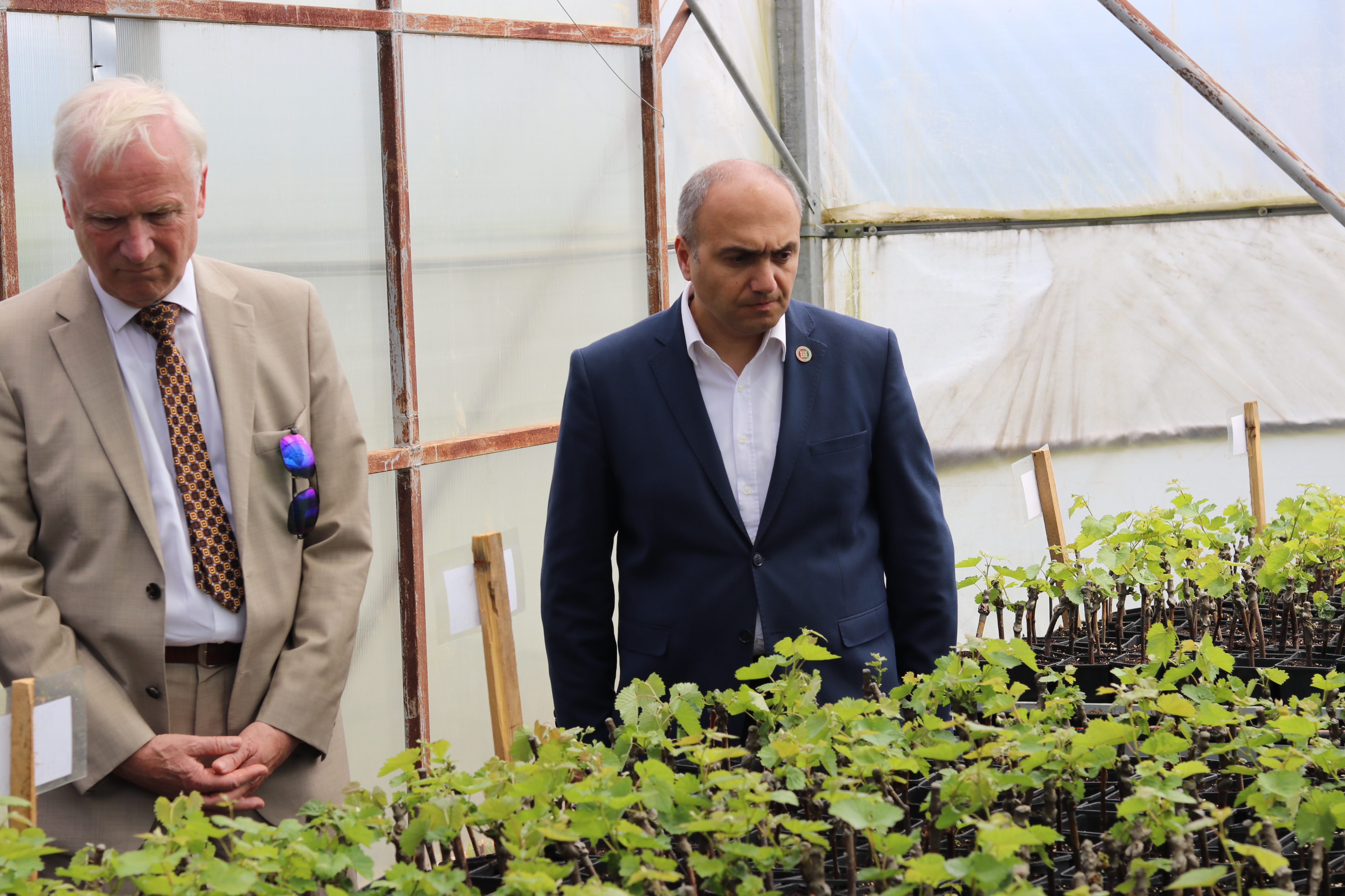 &nbsp;ბრანდენბურგის დელეგაციის ვიზიტი გრძელდება