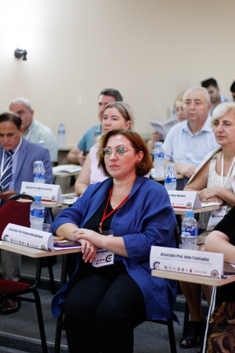 დავით გაბაიძე სოციალურ მეცნიერებებში დებატების თემაზე გამართულ მე-15 საერთაშორისო კონგრესში მონაწილეობდა