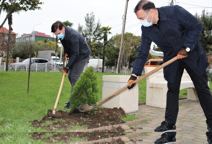 ცოტნე ანანიძე ქობულეთში გამწვანების აქციას შეუერთდა