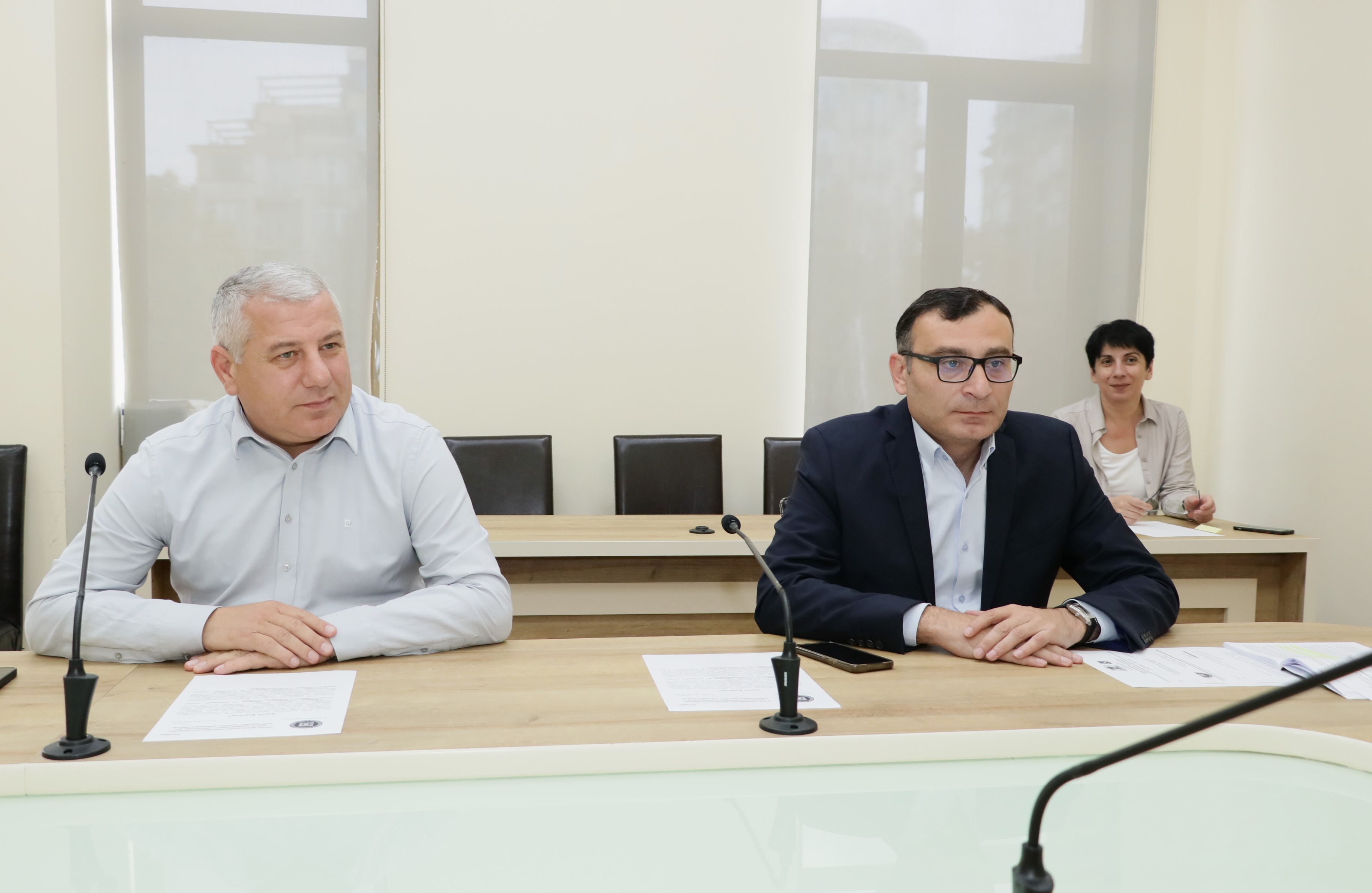 საკონსტიტუციო, იურიდიულ და საპროცედურო საკითხთა კომიტეტის სხდომა