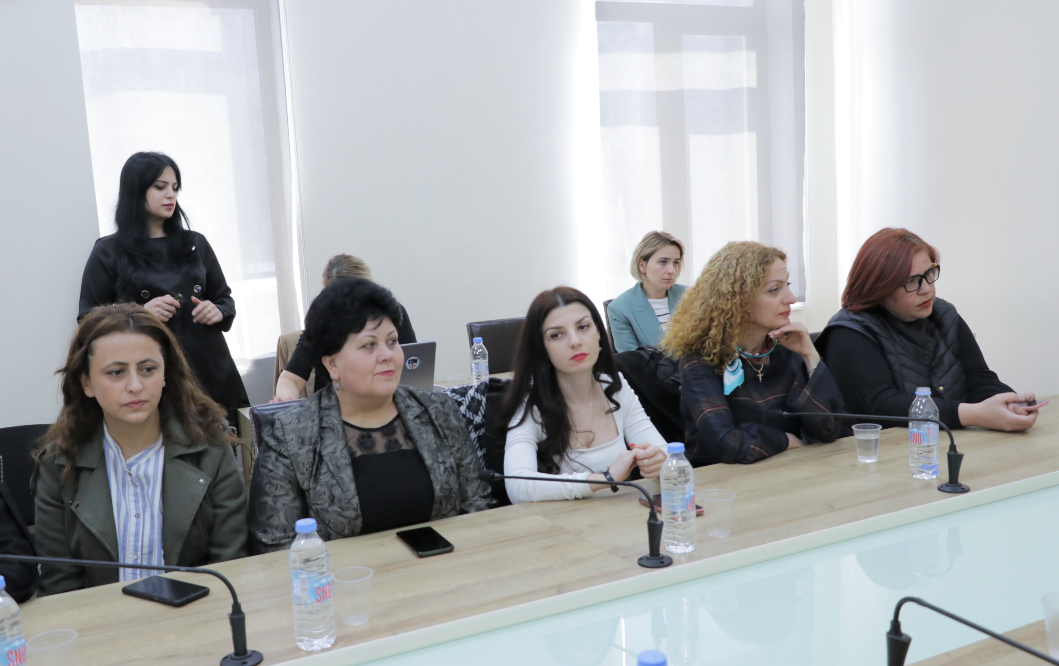  შეხვედრა გენდერული თანასწორობის სტრატეგიის ფარგლებში 