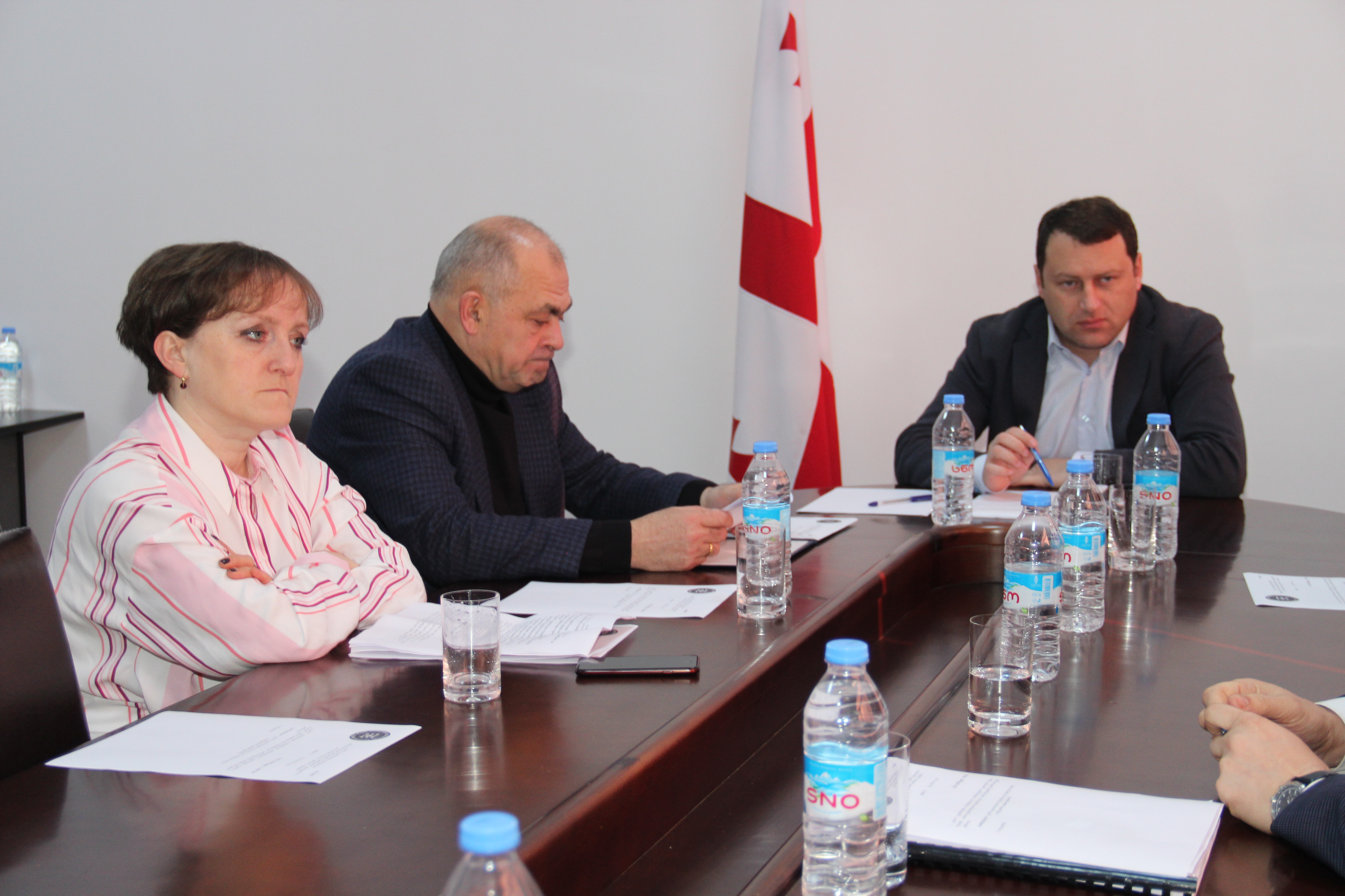    მსჯელობა წამყვანი კომისიის სხდომაზე გაგრძელდება