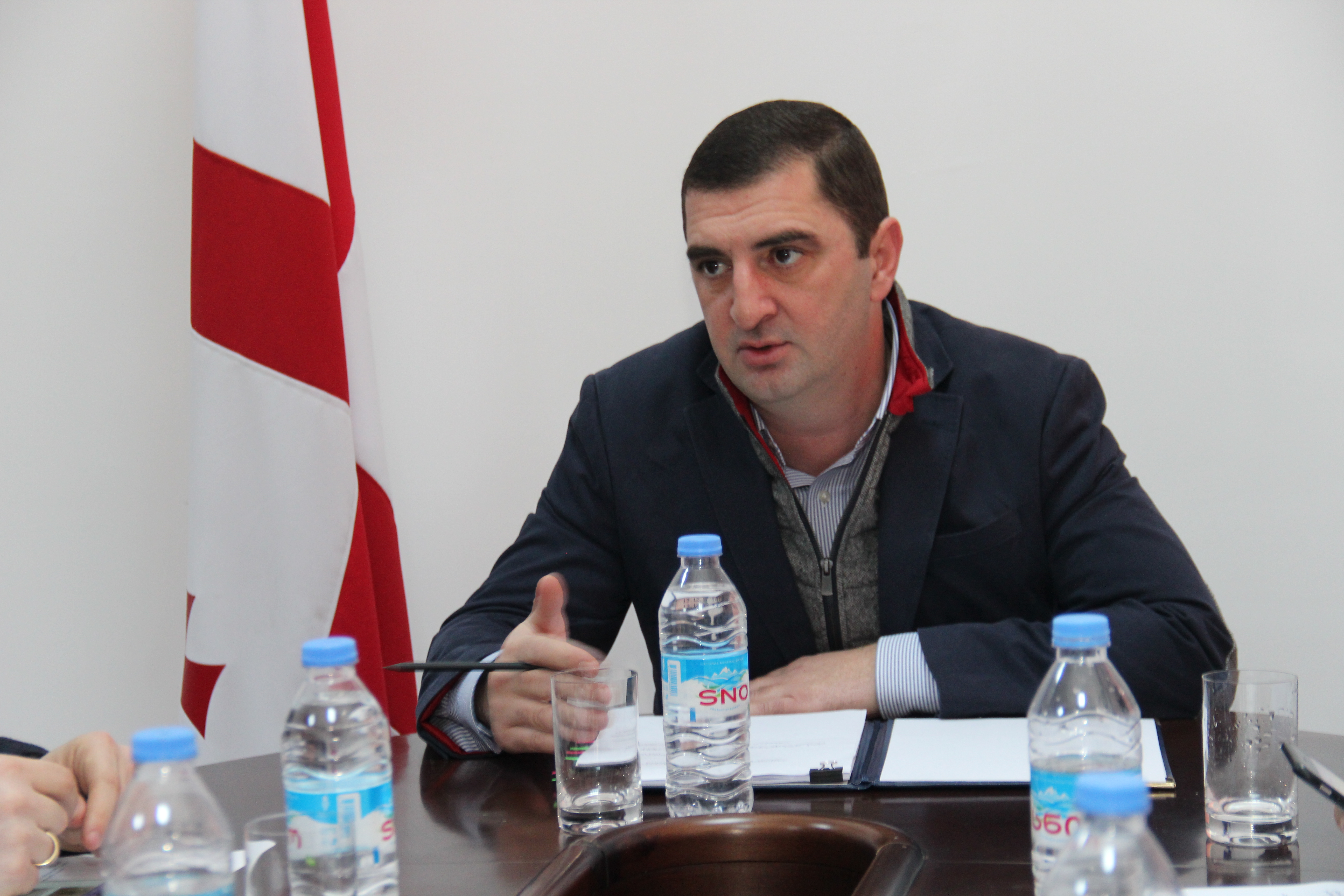 კომისიამ მხარი დაუჭირა პროექტის სესიაზე განხილვას