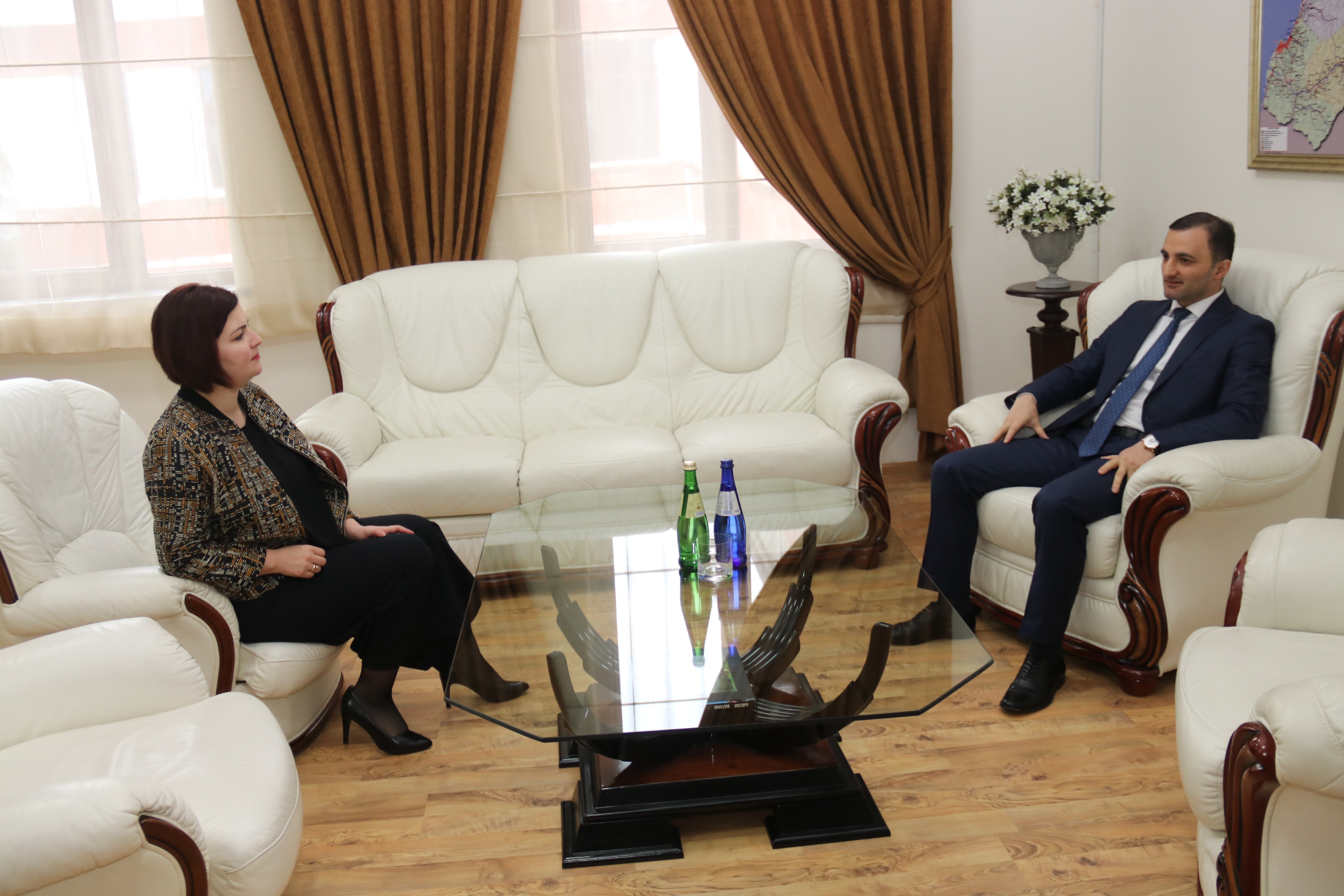      შეხვედრა საპარლამენტო მდივანთან