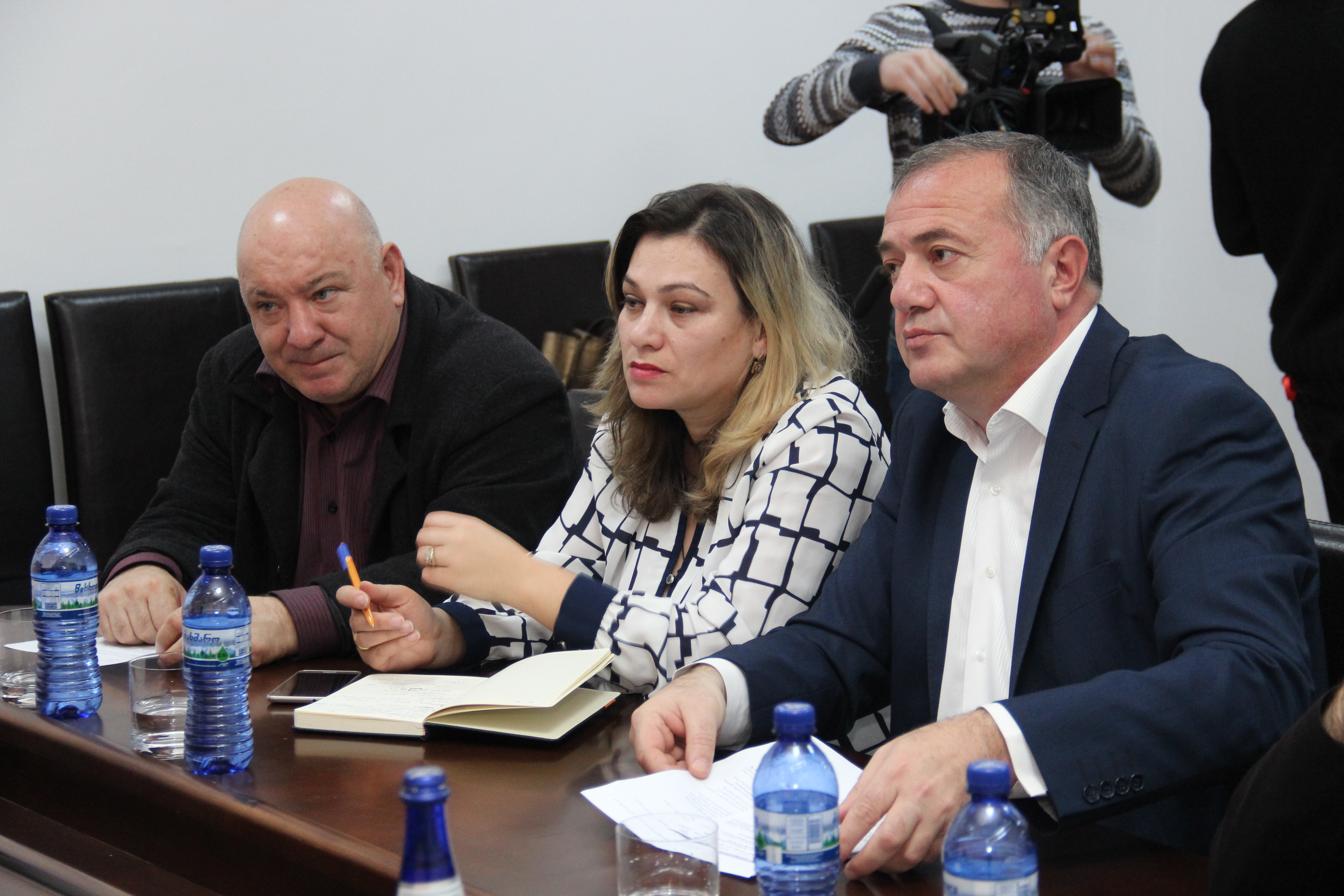 საკონსულტაციო შეხვედრა საინიციატივო ჯგუფთან