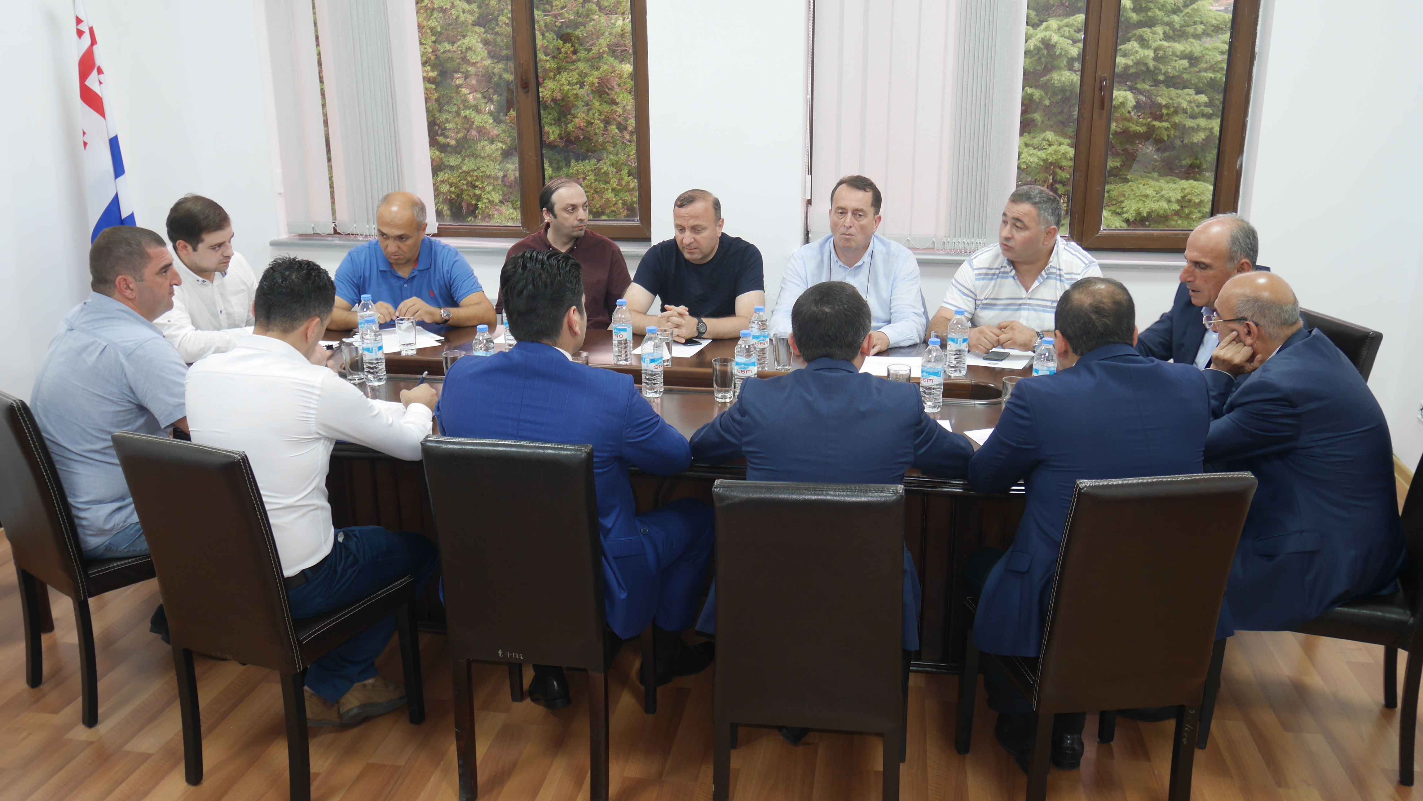 ორმა კომიტეტმა  ბიუჯეტის მიმოხილვა ცნობად მიიღო