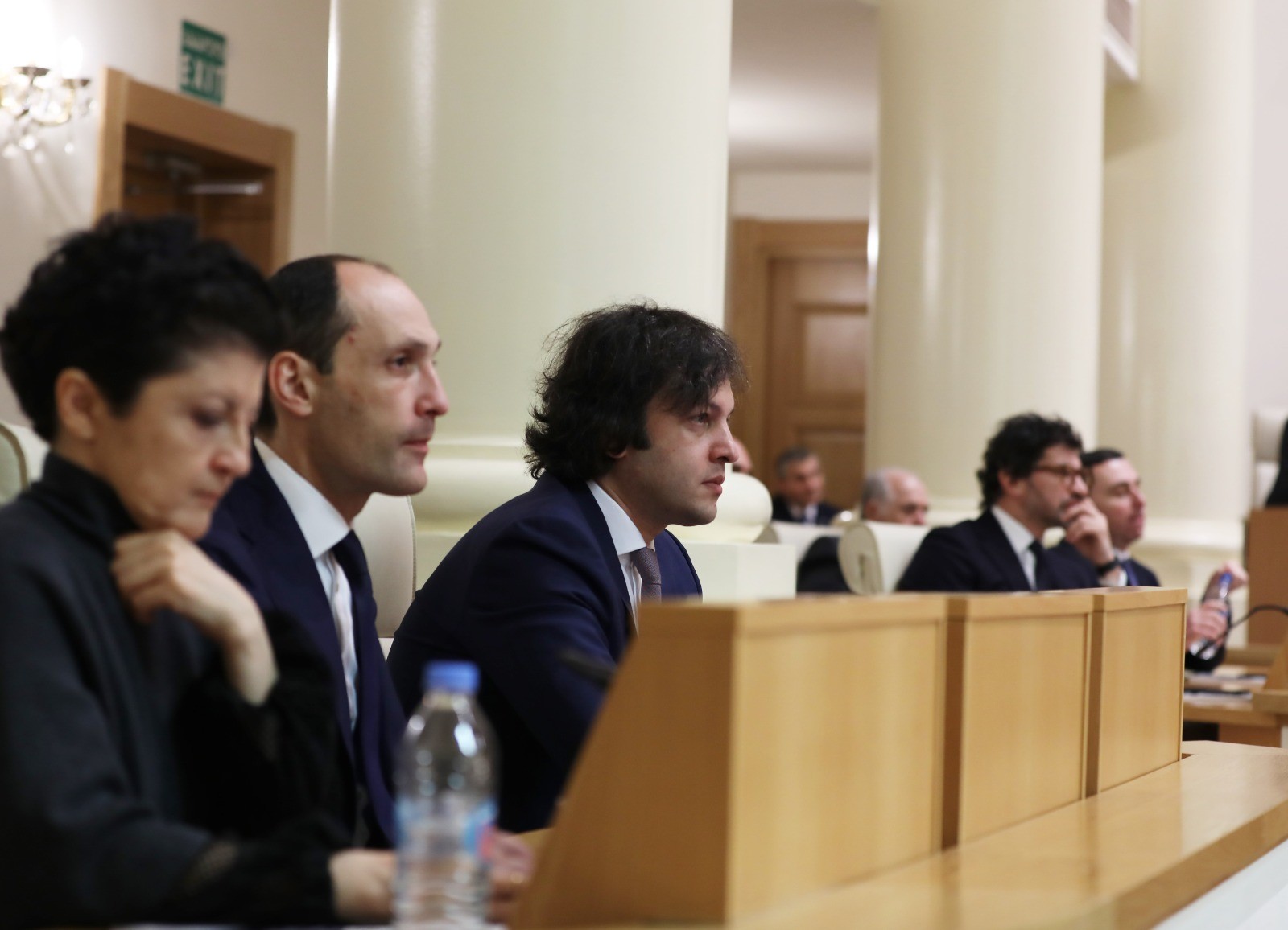 დავით გაბაიძე და თორნიკე რიჟვაძე საქართველოს პარლამენტის პლენარულ სხდომას დაესწრნენ