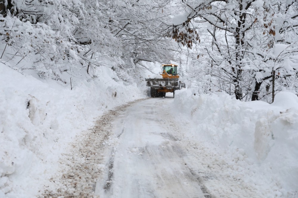 ვახტანგ ბერიძე, ხულოში, დიდთოვლობით გამოწვეული პრობლემების სალიკვიდაციო სამუშაოებს გაეცნო