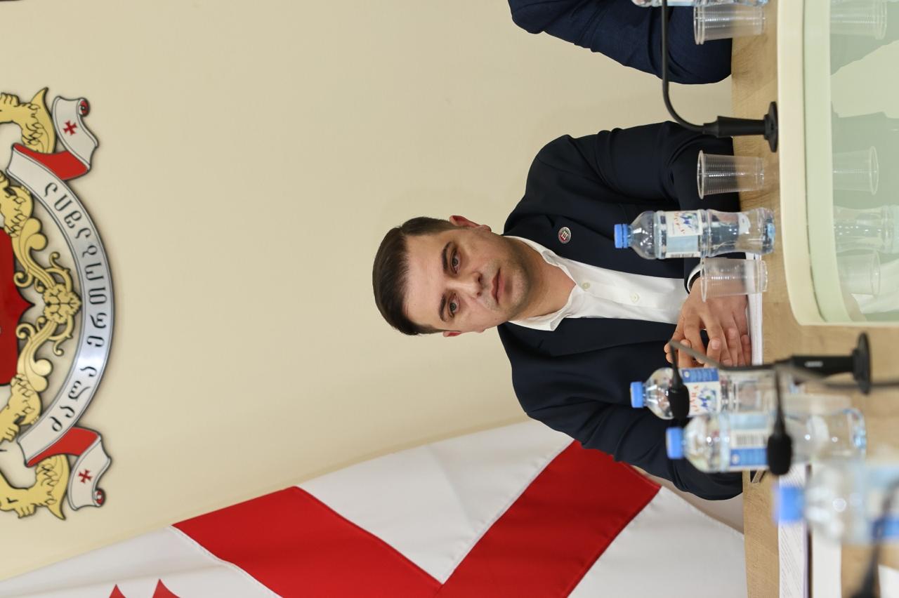 კომიტეტების ერთობლივ სხდომებზე აჭარის მთავრობის შემადგენლობის საკითხი განიხილეს