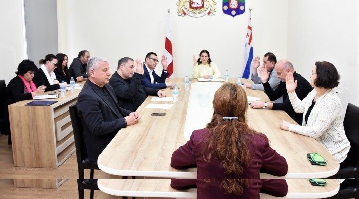 საფინანსო-საბიუჯეტო და ეკონომიკურ საკითხთა კომიტეტის სხდომაზე ელექტრონულად შემოსული პირველი პეტიცია განიხილეს