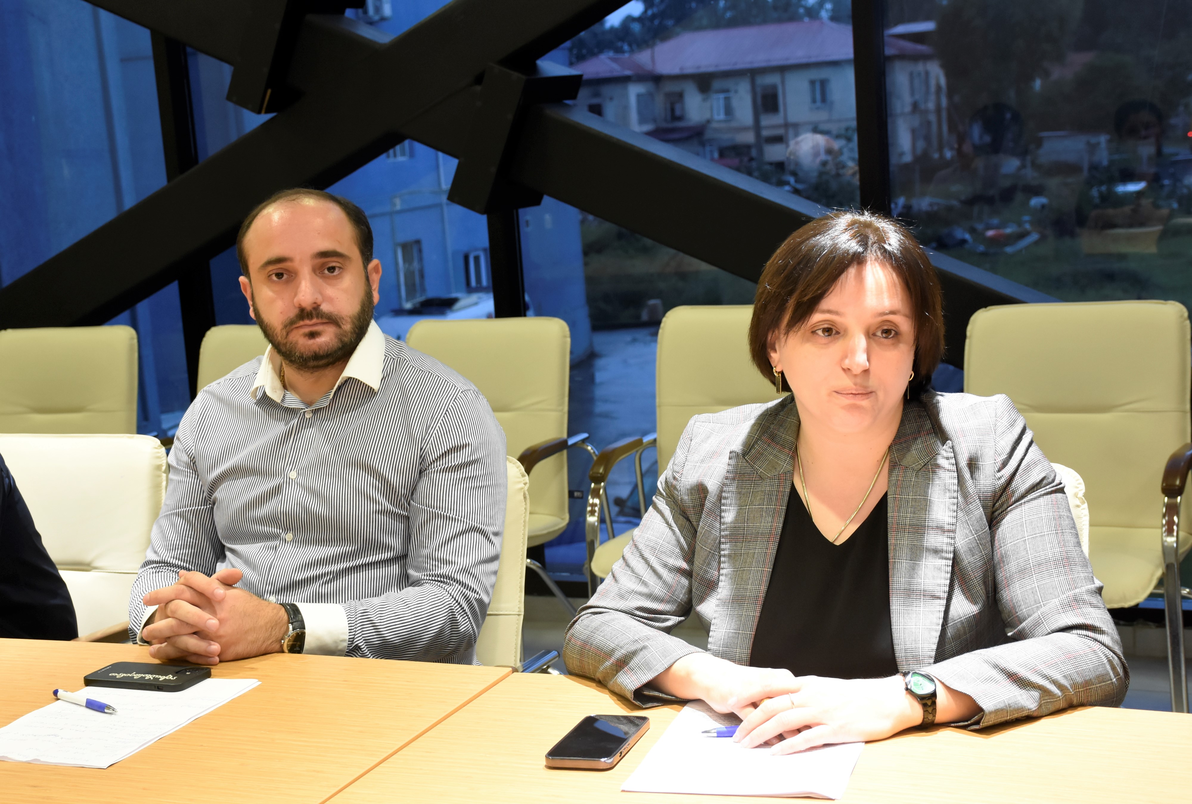 ჯანმრთელობის დაცვისა და სოციალურ საკითხთა კომიტეტის  გასვლითი სხდომა