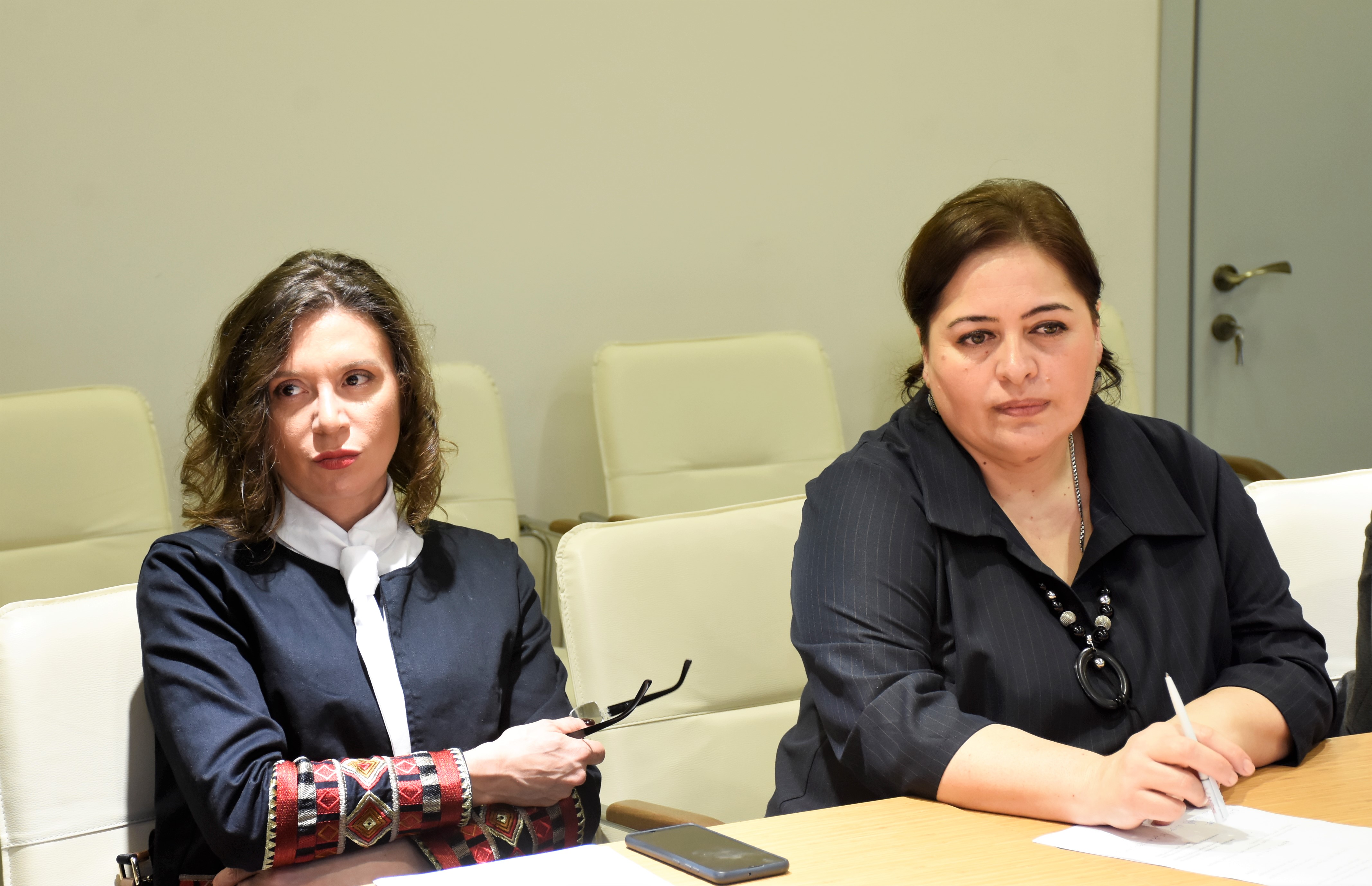 ჯანმრთელობის დაცვისა და სოციალურ საკითხთა კომიტეტის  გასვლითი სხდომა