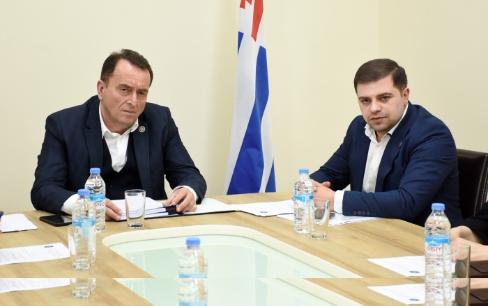 ორი კომიტეტის გაერთიანებული სხდომა