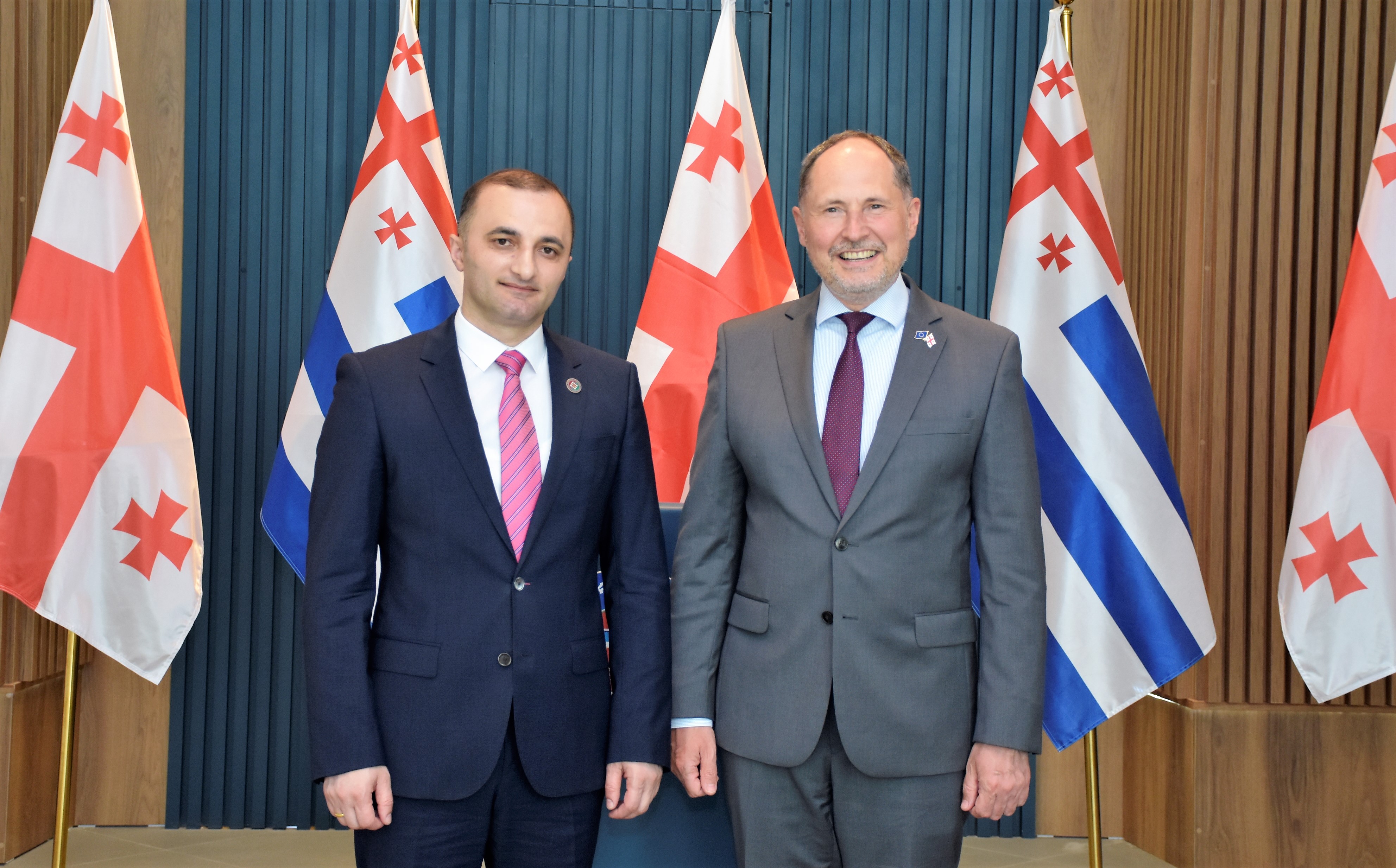  დავით გაბაიძე პაველ ჰერჩინსკის შეხვდა