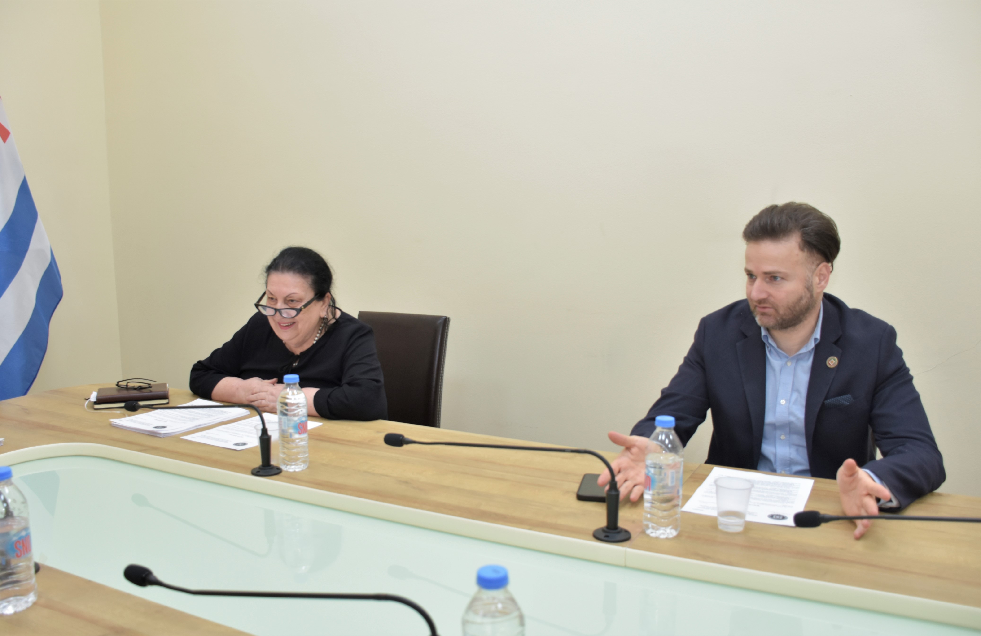 &nbsp;საკონსტიტუციო, იურიდიულ და საპროცედურო საკითხთა კომიტეტის სხდომა