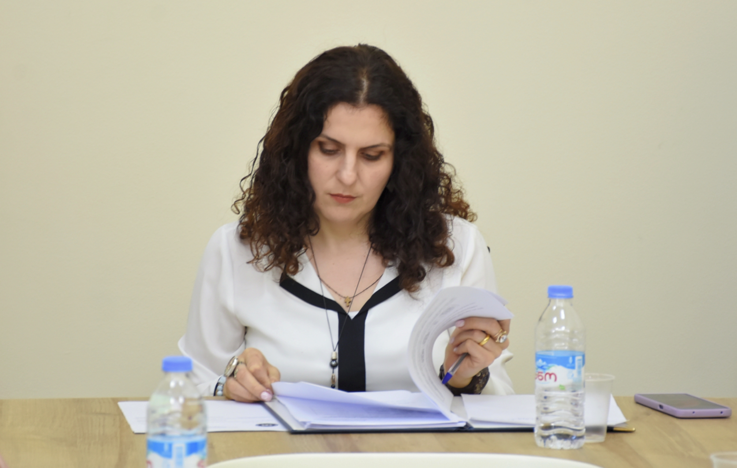 საფინანსო-საბიუჯეტო და ეკონომიკურ საკითხთა კომიტეტის სხდომა