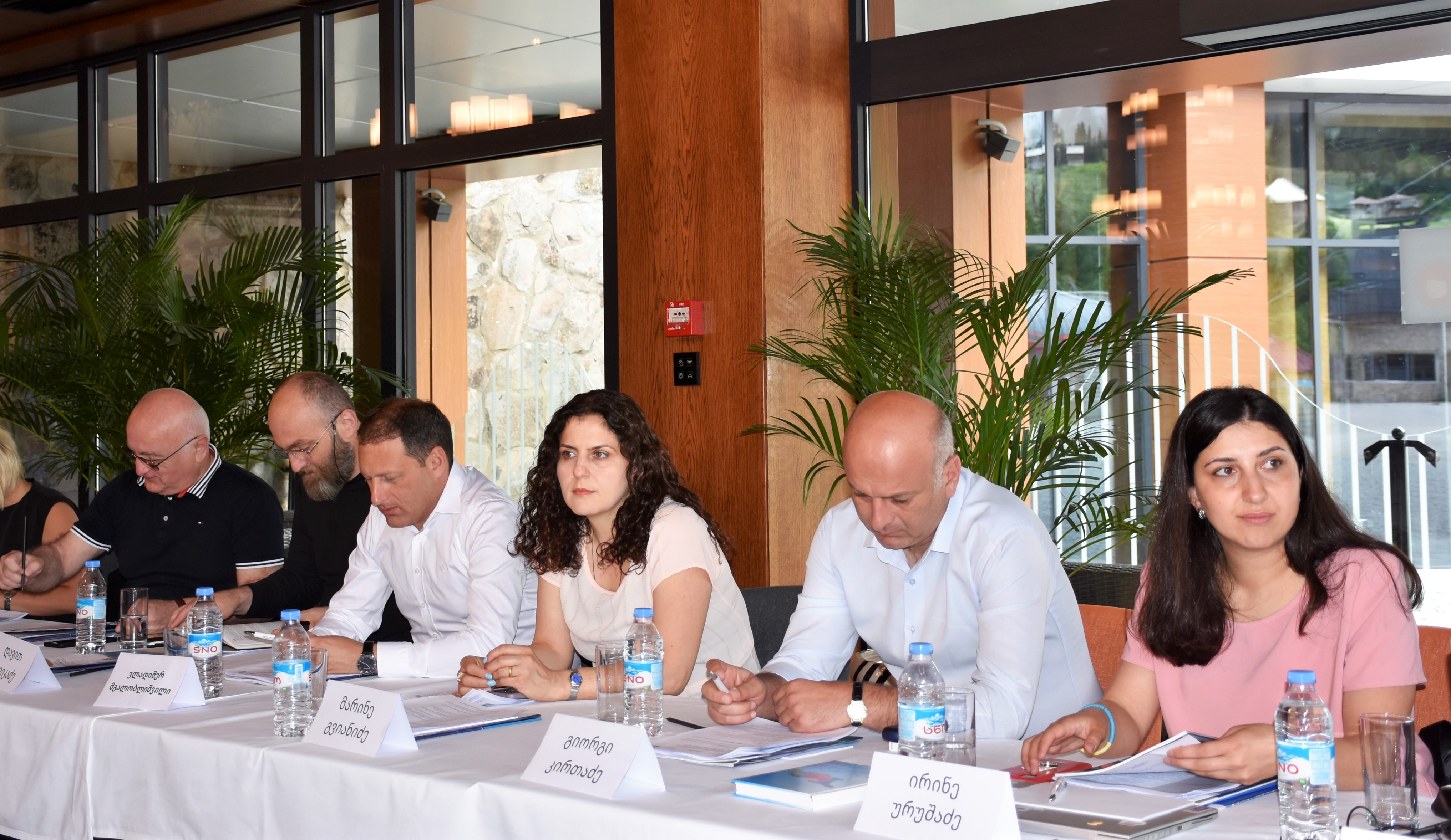 უმაღლესი საბჭოს ღია მმართველობის საბჭოსა და საკონსულტაციო ჯგუფის  სამუშაო შეხვედრა 